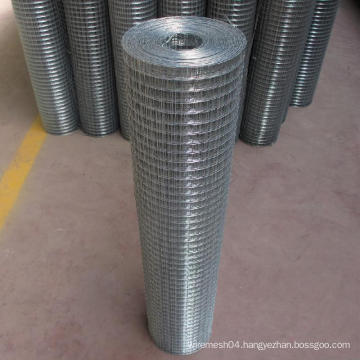 Welded Wire Mesh/Best Price Welded Wire Mesh Roll